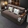 Extendable 2 in 1 Sofa Bed with Side Pockets,  Bottom and Side Storage, USB Ports, Bluetooth and Speaker Size 150 cm Outside color Brown