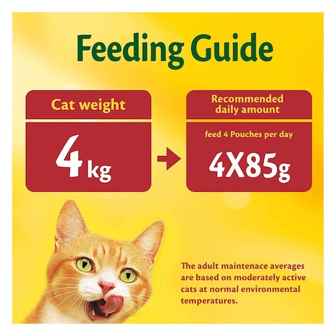 Purina Friskies Salmon In Gravy Wet Cat Food 85g
