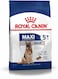 Royal Canin Shn Maxi Adult 5+ 15Kg Size Health Nutrition Dog Food, Multicolor, 02Rcmaxm15, Maxi Adult 5+ Dog Dry Food