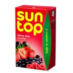 Buy Suntop Berry Mix Juice 250ml in UAE