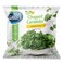 Ocean Garden Frozen Coriander 250GR