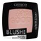 Catrice Blush Box 025 Nude Peach