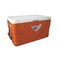 ANF Ice Box 100L