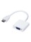 Generic HDMI To VGA Cable Video Converter Adapter, White