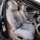 1 Piece Sheepskin Fur Car Seat Covers, Universal Size Long Wool Car Seat Cushion for Adult Man Women, Seat White and Gray Color