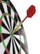 Generic Dartboard 17Inch