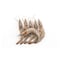 Whole Shrimp - 30/40 - 1 Kg