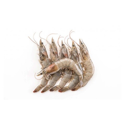 Whole Shrimp - 30/40 - 1 Kg