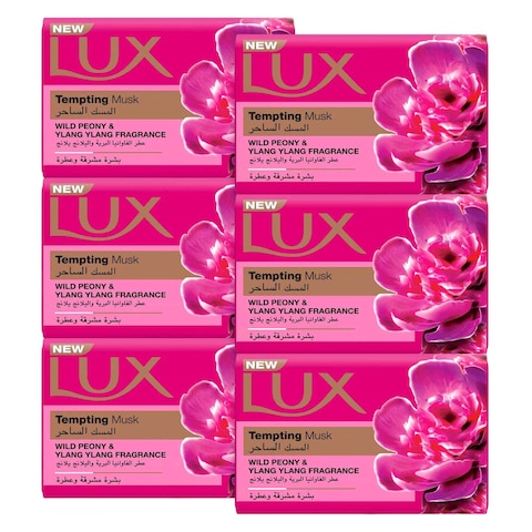 LUX  Bar Soap Tempting Musk 170g Pack of 6