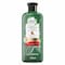 Herbal Essences Color Protect Sulfate Free Potent Aloe Vera Mango Natural Shampoo for Dry Hair 400 ml