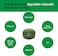 Sun Chlorella, Dietary Supplement A 200 Mg. 300 Tablets 68191