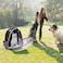 Transparent Pet Travel Backpack - Comfortable Outdoor Hiking Carrier for Small Cats and Dogs