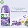 Air Wick Automatic Air Freshener Spray Kit with Gadget &amp; Refill, Lavender &amp; Chamomile Scent, 250ml