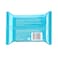 Neutrogena Hydro Boost Makeup Remover Wipes, Cleansing - 25 Wipes
