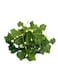 12-Piece Artificial Hanging Ivy Leaves Green