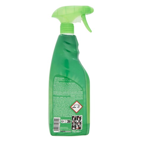 Carrefour Multi Surface Bleach Spray 750ml Online | Carrefour Lebanon