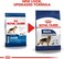 Royal Canin Shn Maxi Adult 4 Kg Size Health Nutrition Dog Food, Multicolor, Maxi Adult Dog Food
