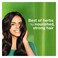 Himalaya Volume And Thickness Coconut Oil Shampoo 2x400ml