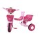 Tricycle Double Seat TC-806 Assorted