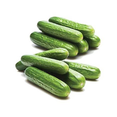 Cucumber