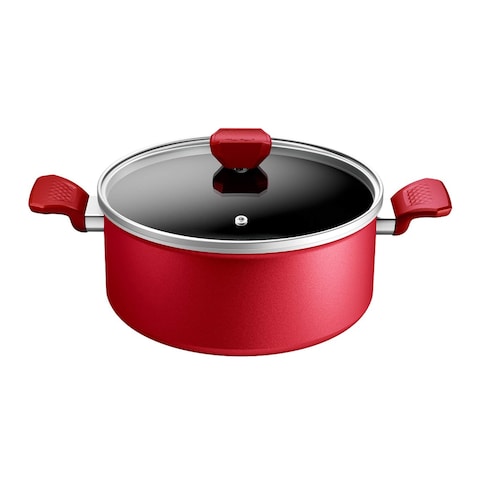 Tefal Expert Stewpot with Glass Lid - Size 26 - Red