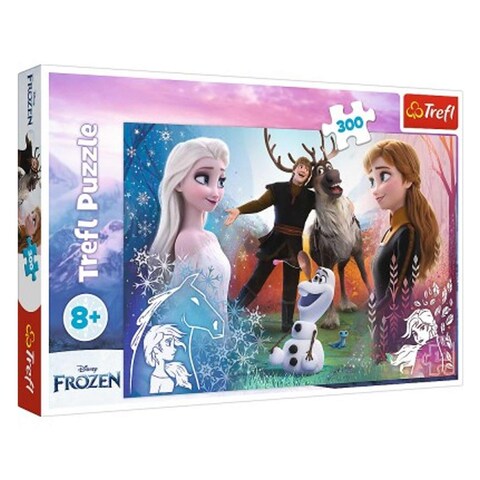 Puzzles Disney Frozen 300 Pieces