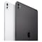 Apple iPad Pro Tablet 13-Inch 256GB Wi-Fi with Standard Glass Space Black