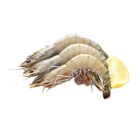 Whole Shrimp - 50/60 - 1 Kg