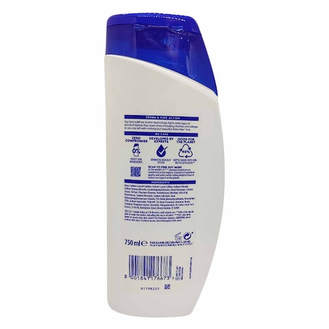 Head And Shoulder 2 In 1 Citrus Fresh Anti Dandruff Shampoo And Conditioner 750ml