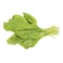Spinach 250g
