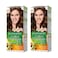 Garnier Color Natural 5.3 Light Gold Brown 2 pieces