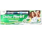 Buy Dabur Herbal Cavity Protection Mint  Lemon Toothpaste 150g in Kuwait