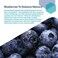 Life Extension Cognitex Basics - Brain Health Supplement - For Memory, Focus, Attention, Cognitive Performance And Inflammatory Response - Non-Gmo, Gluten-Free - 30 Softgels