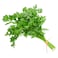 Parsley Premium Pack 50G