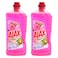 Ajax Fete Des Fleurs Rose Liquid Detergent 1.25L x Pack of 2 25% Off
