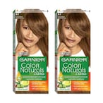 Buy Garnier Colour Naturals Creme Nourishing Permanent Hair Colour 6.1 Dark Ash Blonde 110ml Pack of 2 in UAE