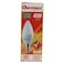 Oshtraco 4W LED Candle Bulb E14 Warm White