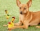 Dog Toy, Teeth Cleaning Plush Toy, Chew Teeth Exercise, Interactive Dog Chew Toy, Cute Chicken Plush Chew Toy, Non-Toxic and Safe Toy for Dogs, Yellow Color Chicken