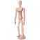 Specialist Crafts  Flexibody Lay Figure