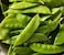 Vsell24 Garden Snow Pea Seeds, 3 Packs of 10g Each, Organic Non-GMO, 98% Clean, 95% Pure, 95% Germination