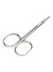 Eyebrow Trimmer Scissor Silver