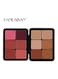 Handaiyan Essential Ultra Blush And Concealer Pallete, Multicolour