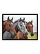 Spoil Your Wall Horse Poster With Frame Grey/Brown/Green 55x40cm