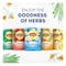 Lipton Herbal Infusion Tea Bags Relax Sleep Calm Chamomile Naturally Caffeine-Free 20 Tea Bags