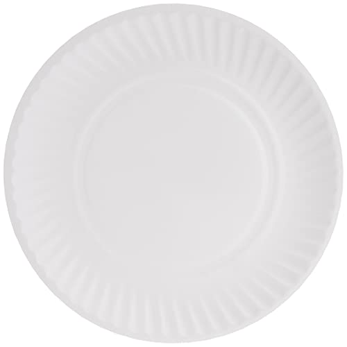 Falcon Paper Plates 9 Inch 100pcs