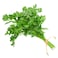 Parsley Premium Pack 50G