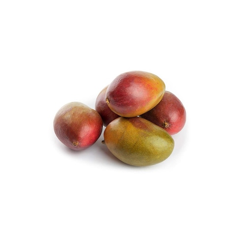 مانجو بالمر