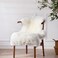 LINGWEI Non Skid Backing Faux Fur Sheepskin Rug Sheepskin Chair Cover, Fluffy Faux Fur Area Rugs Carpets Fuzzy Fur Chair Couch Cover Seat Pad for Bedroom Bedside Sofa Living Room 