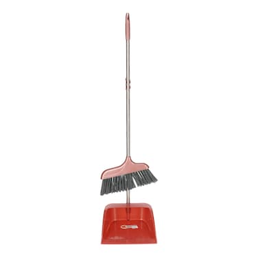 Dustpan with Broom