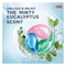 Omo Eucalyptus 3 In 1 Pods Detergent Laundry Capsules 225g